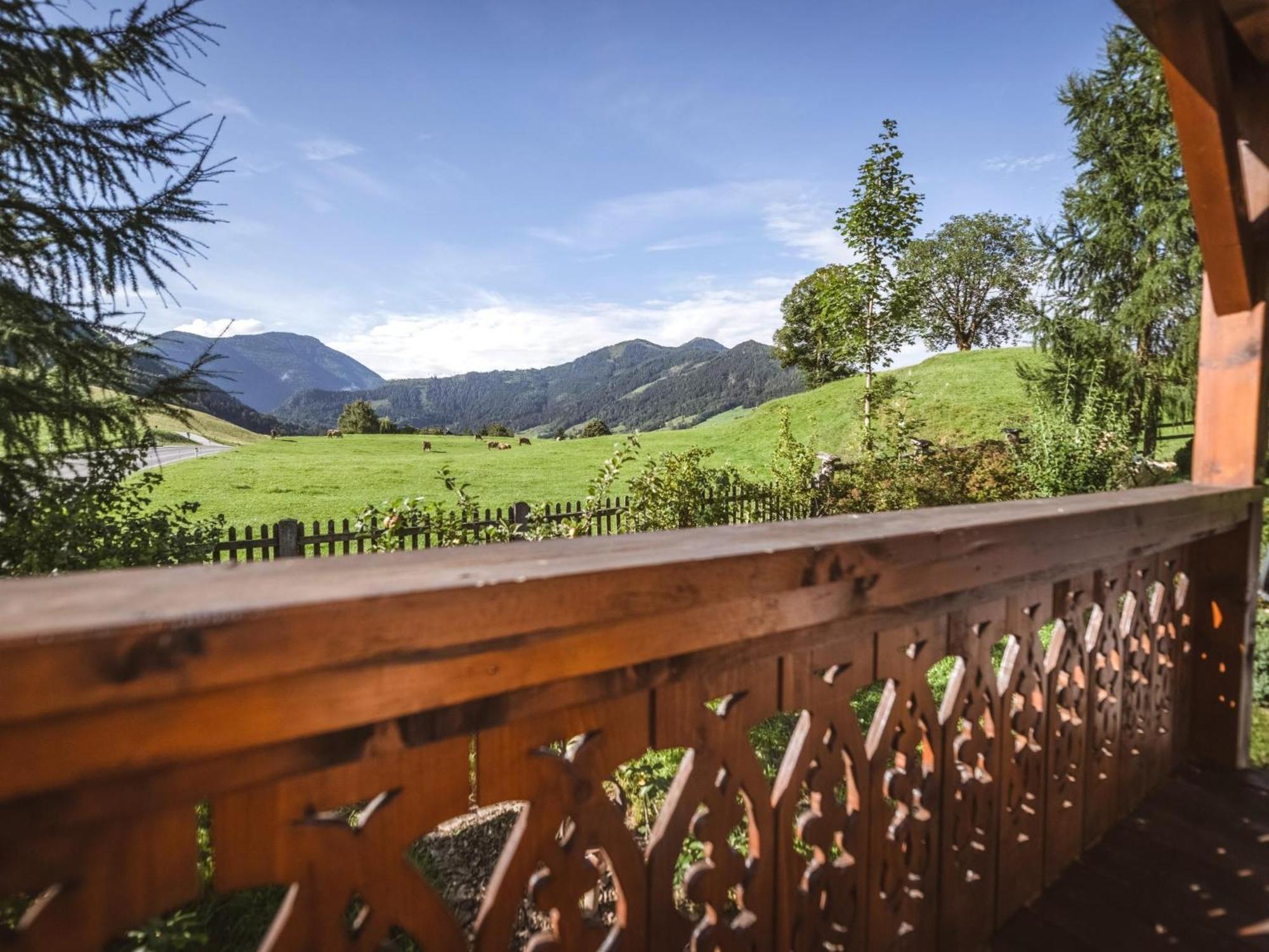 Naturpark Chalet Schladming-Dachstein Grosssolk Экстерьер фото